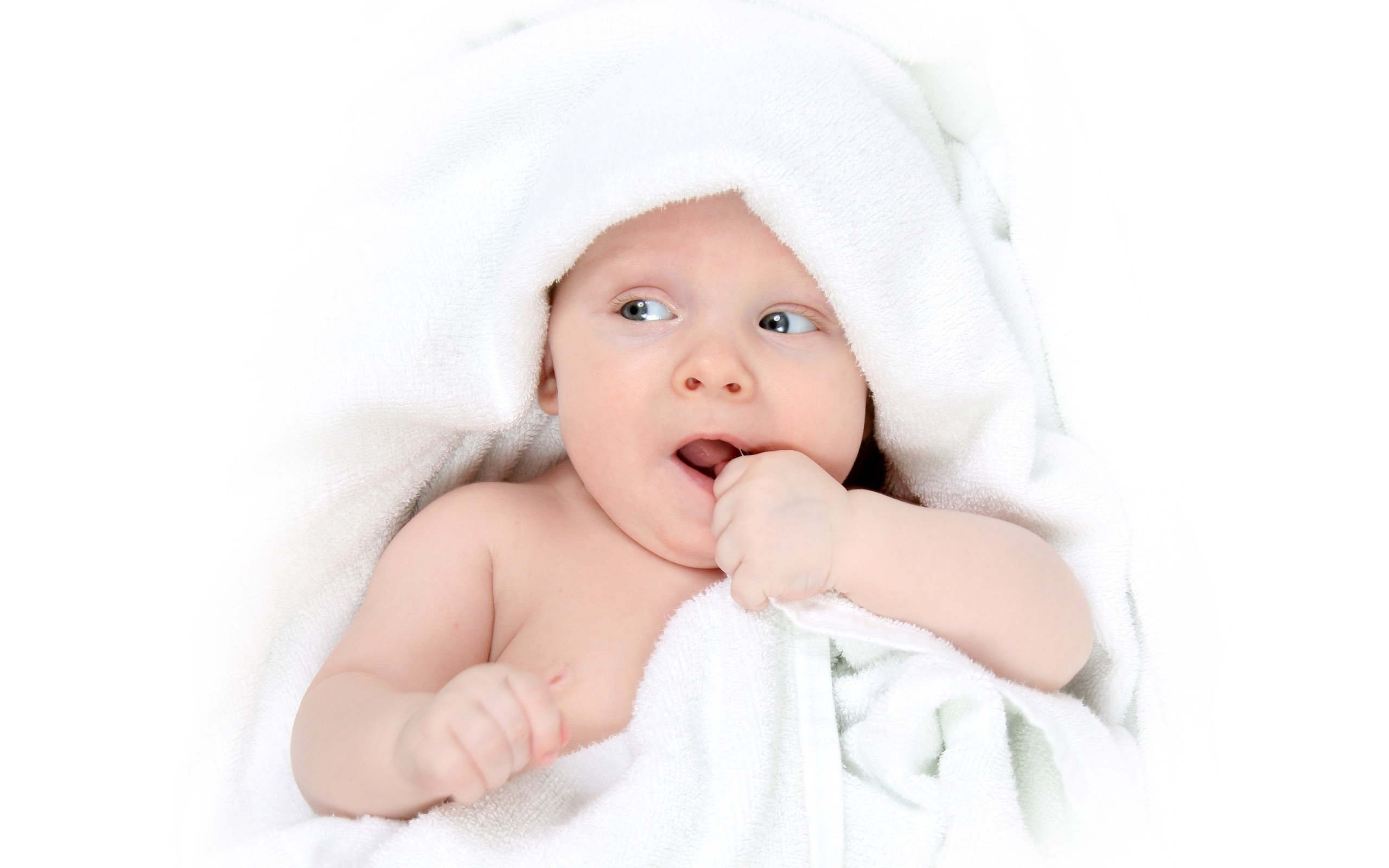 温州助孕公司机构试管婴儿成功率费用多少